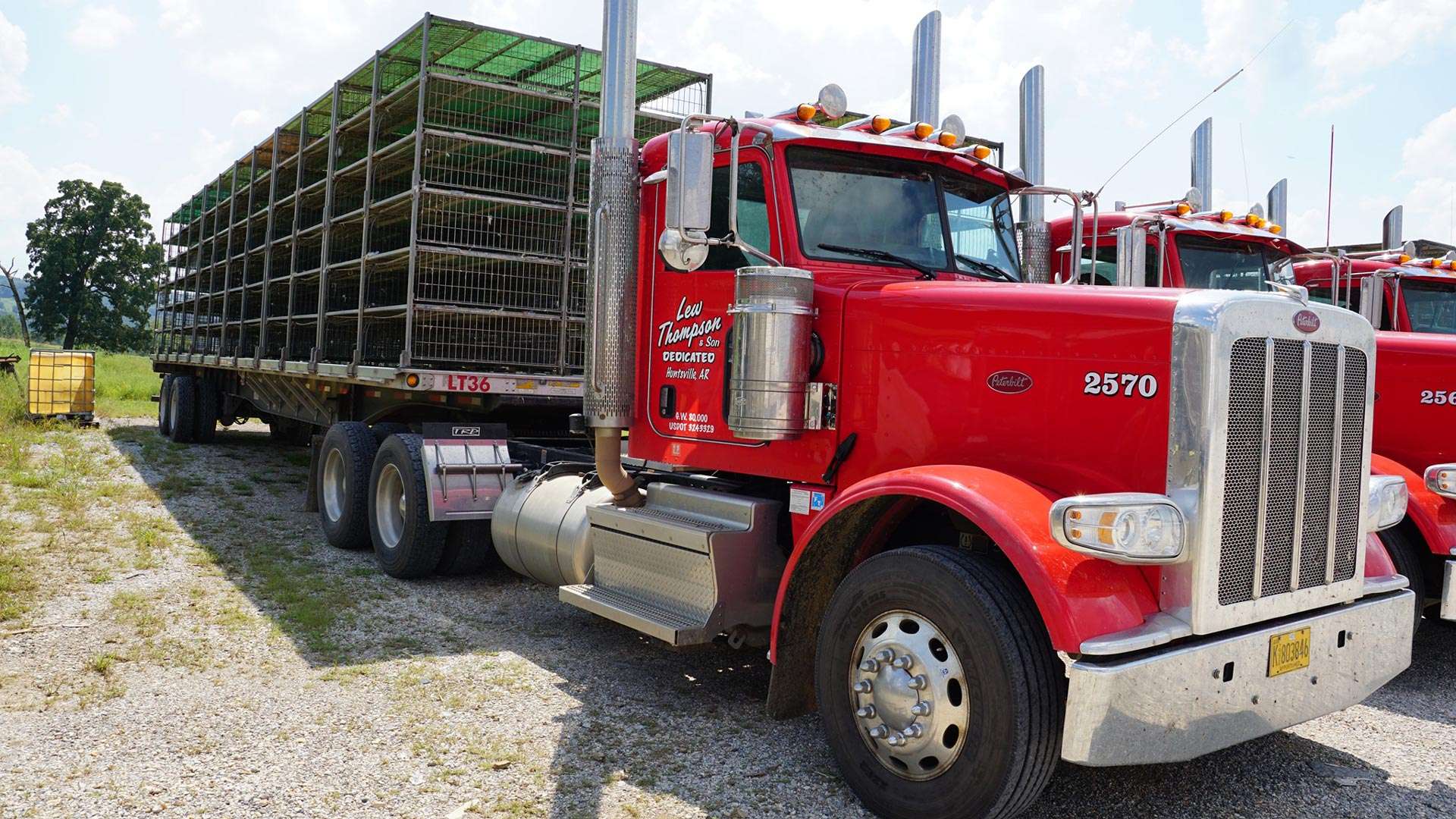 Lew Thompson & Son Trucking truck